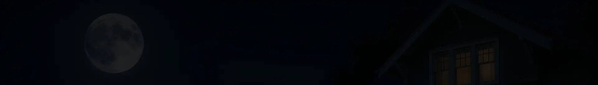 Chicago skyline silhouette
